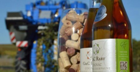 raby cognac viticulture