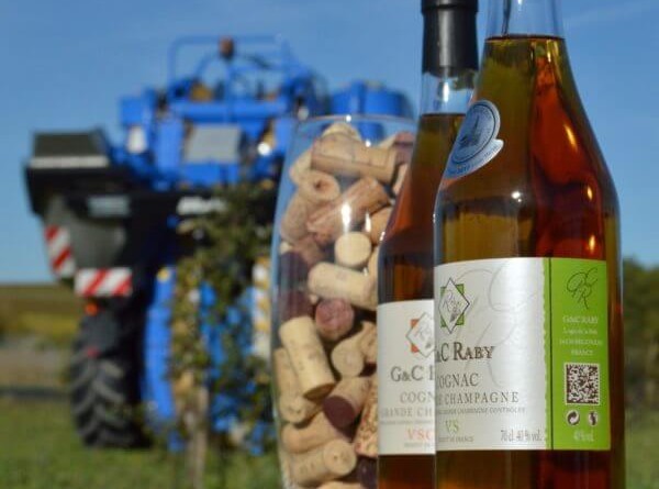 raby cognac viticulture