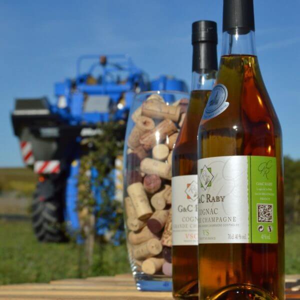 raby cognac viticulture