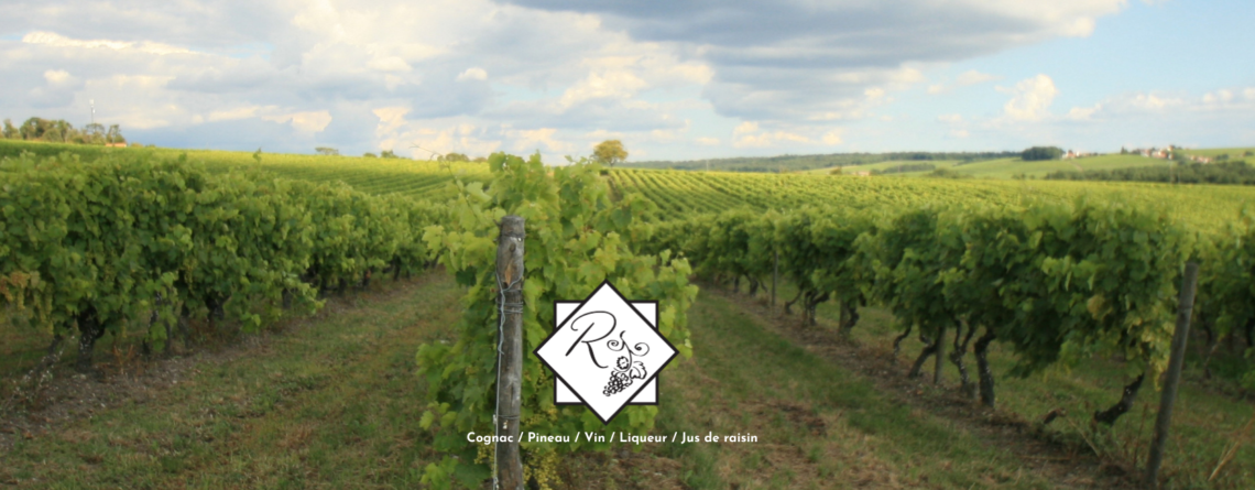Bannière page catégorie Pineaux des Charentes