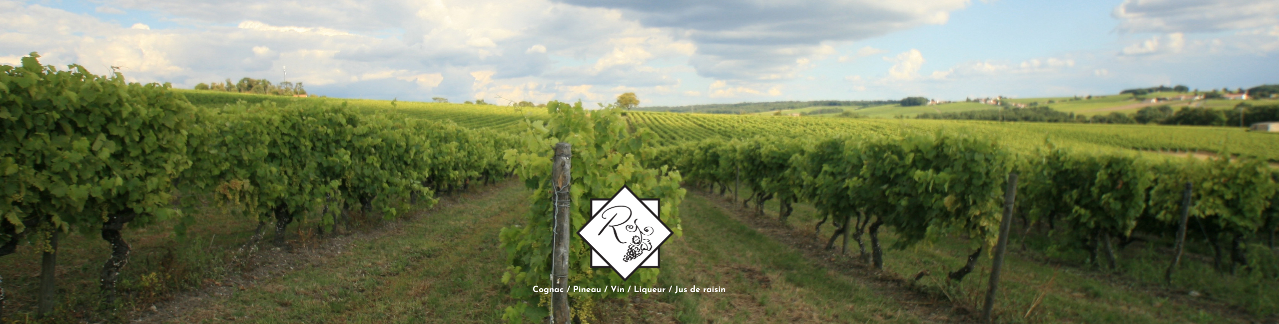 Bannière page catégorie Pineaux des Charentes