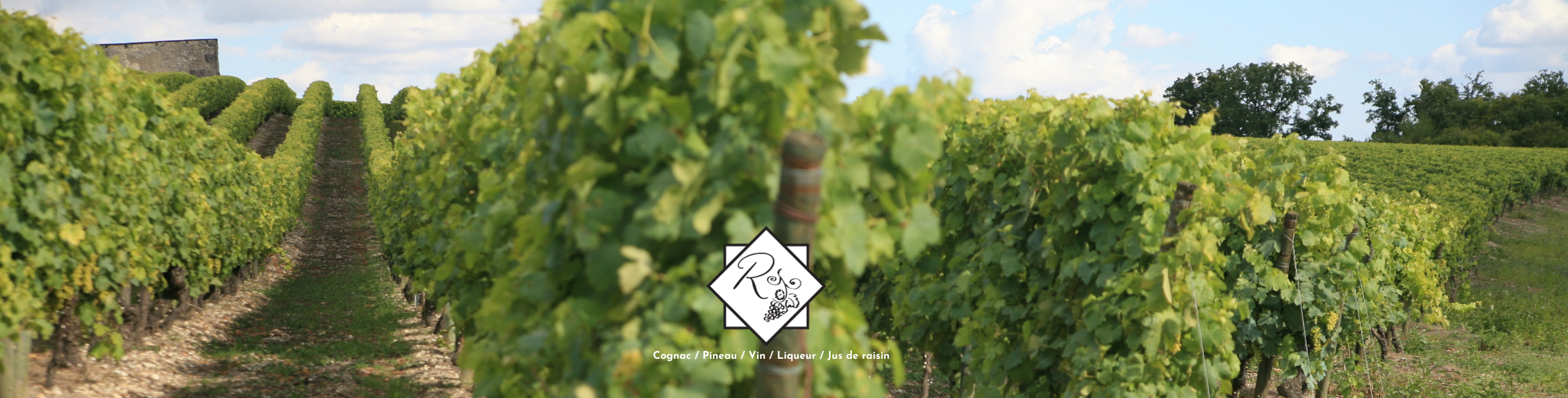 Bannière page catégorie Vins